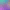 collection banner