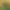 collection banner