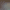 collection banner