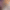collection banner