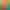 collection banner
