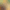 collection banner