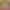 collection banner
