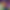 collection banner
