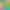 collection banner
