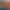 collection banner