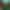collection banner