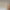collection banner