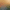 collection banner