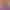 collection banner