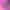 collection banner