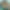collection banner