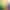 collection banner