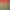 collection banner