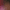 collection banner