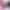 collection banner