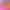 collection banner