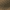collection banner