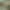 collection banner