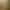 collection banner