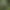 collection banner