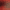 collection banner