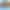 collection banner