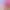 collection banner