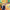 collection banner