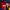collection banner