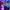 collection banner