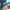 collection banner