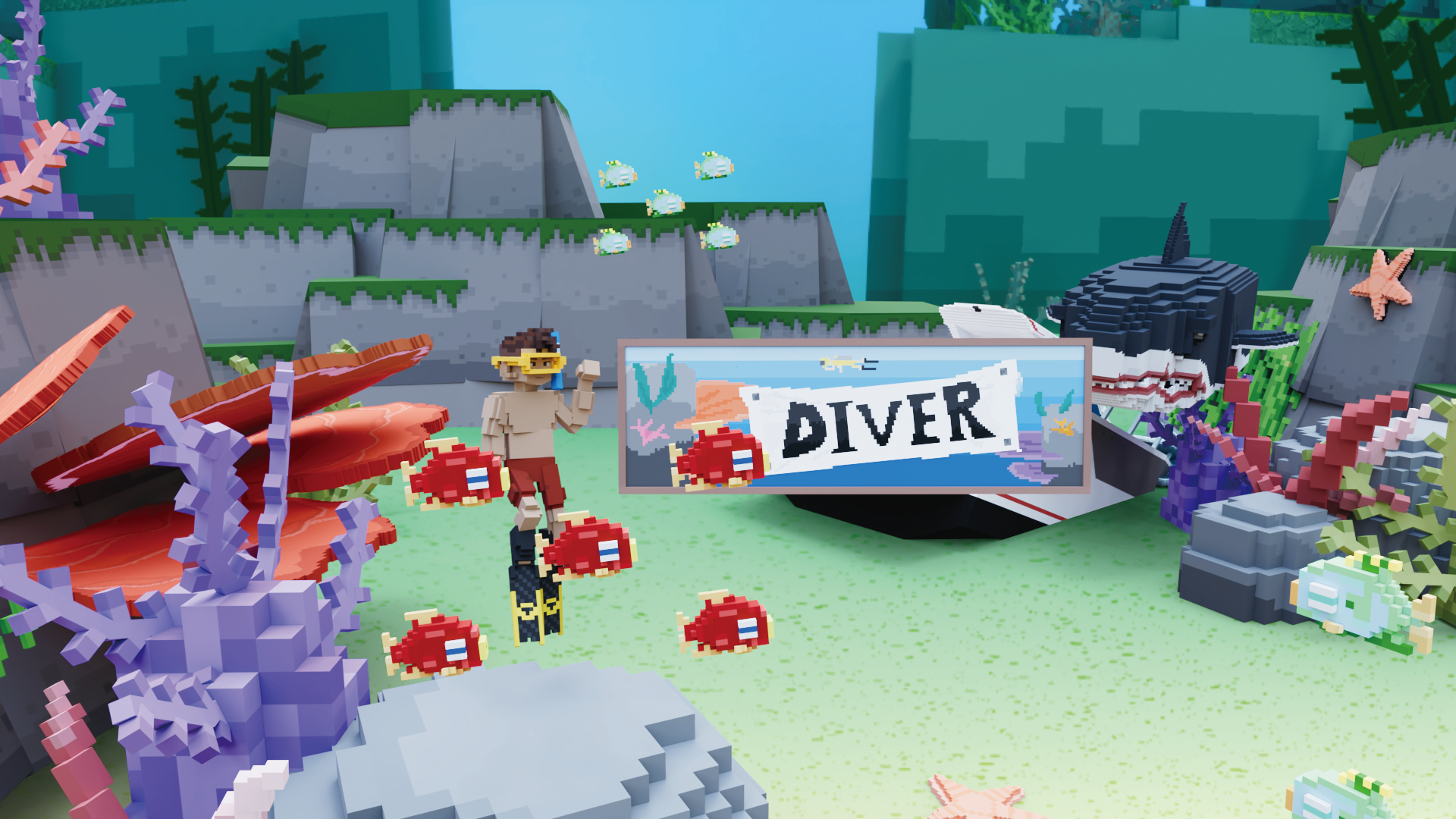 Banner image