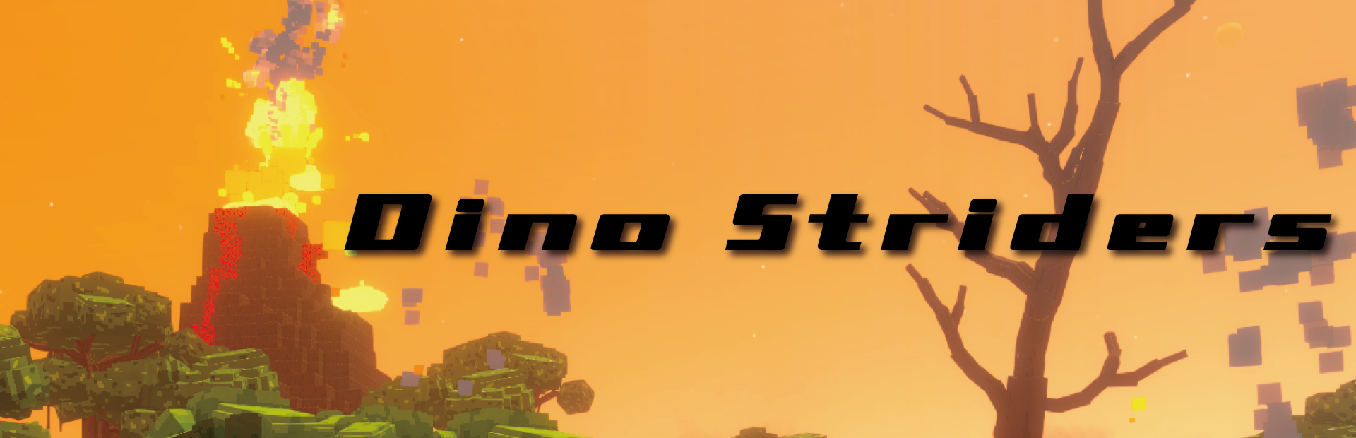 Banner image