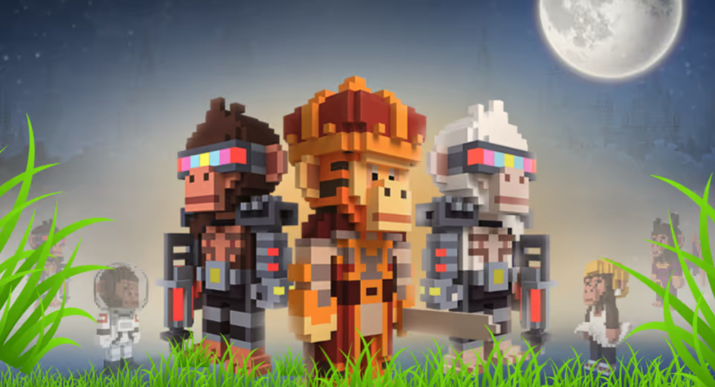 Banner image