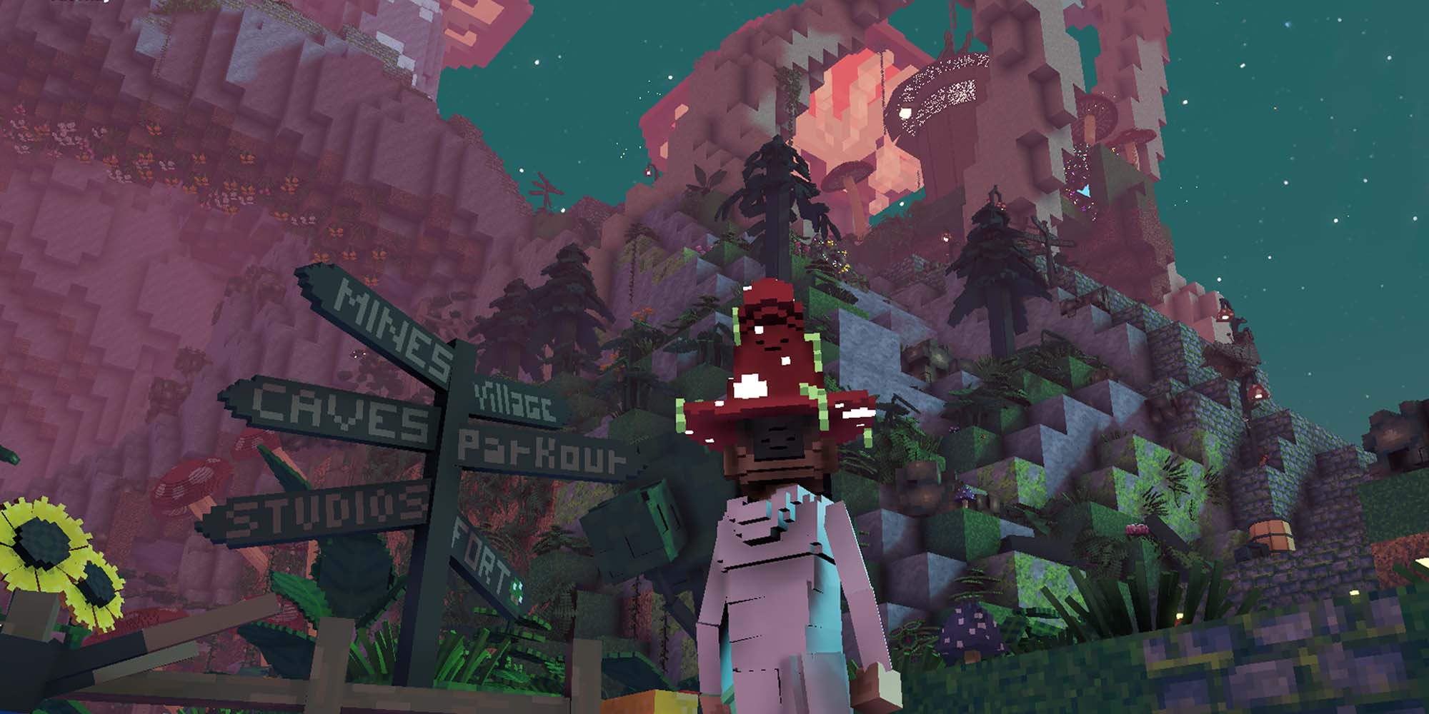 Banner image