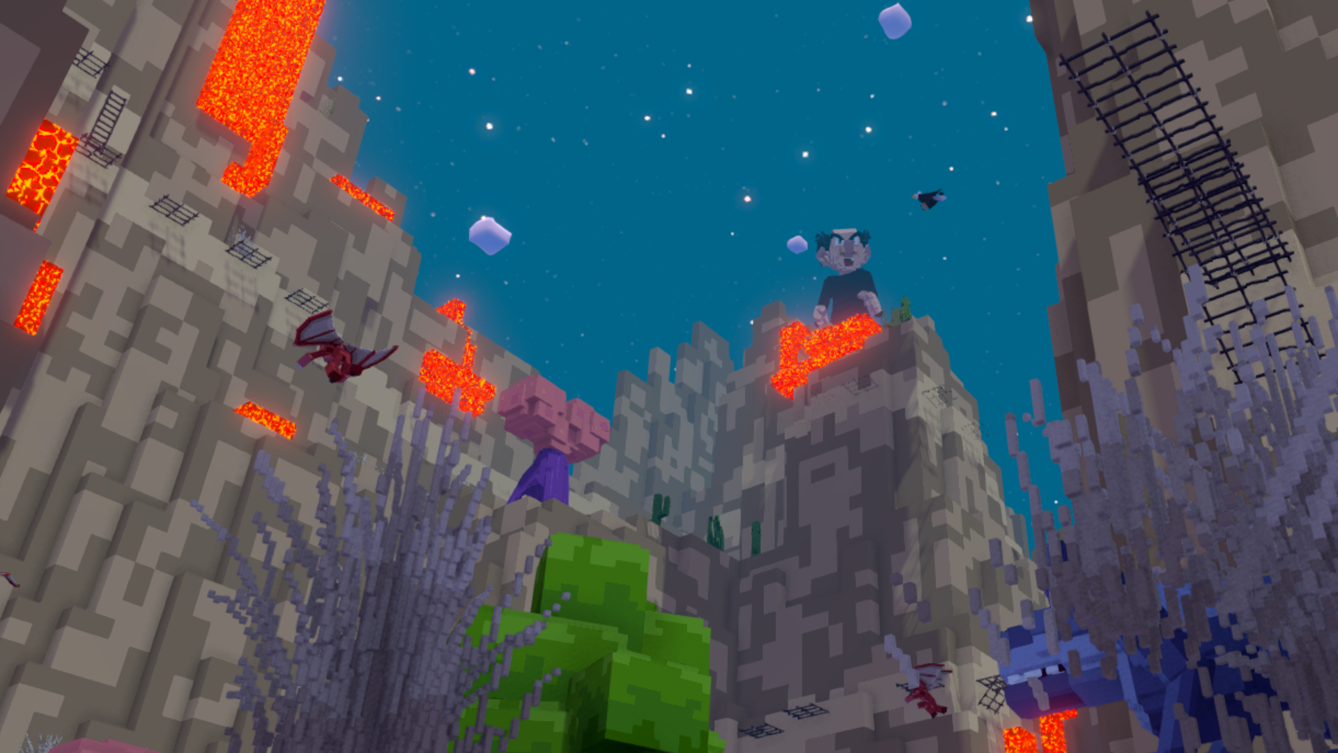 Banner image