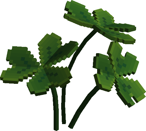 Clovers preview