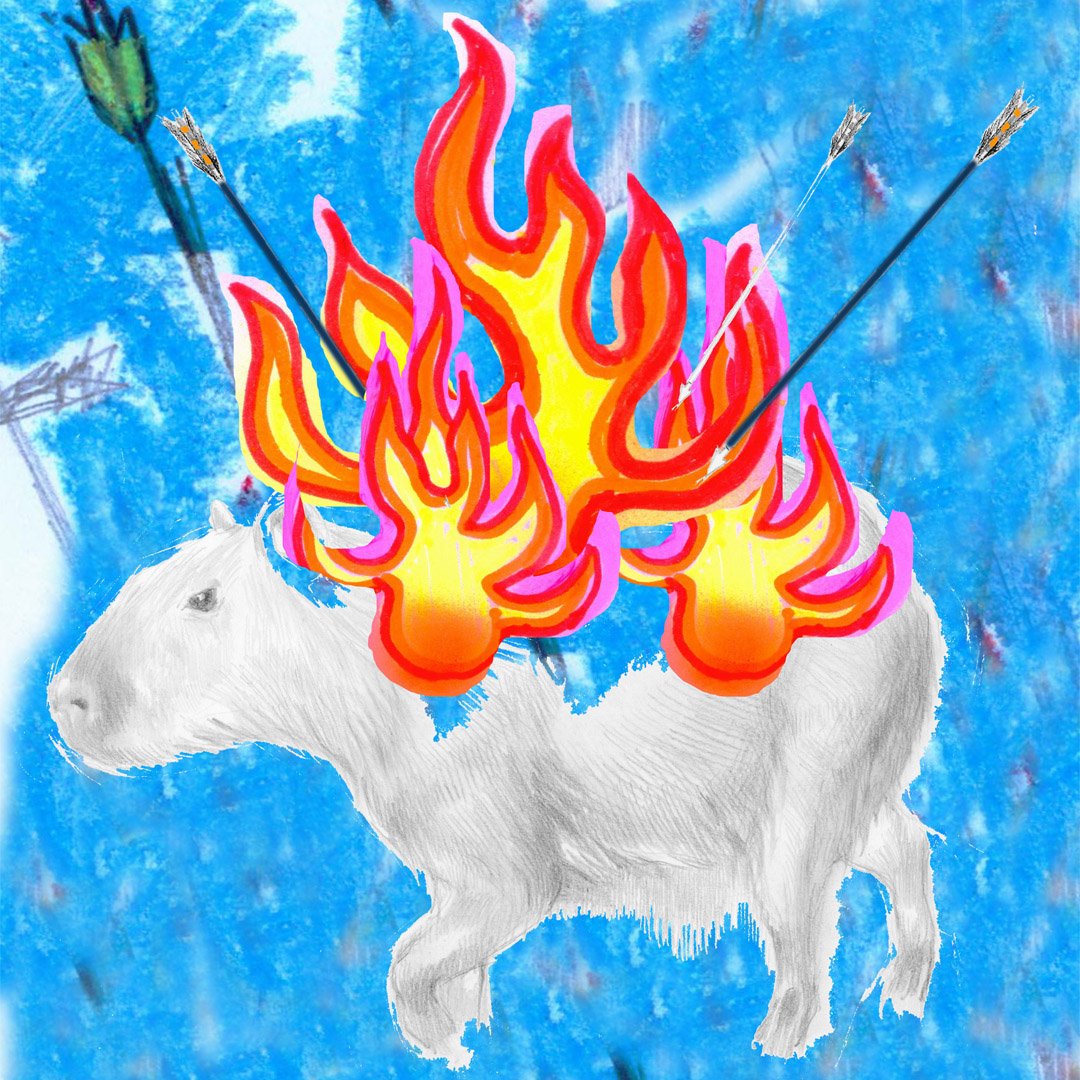User's profile picture
