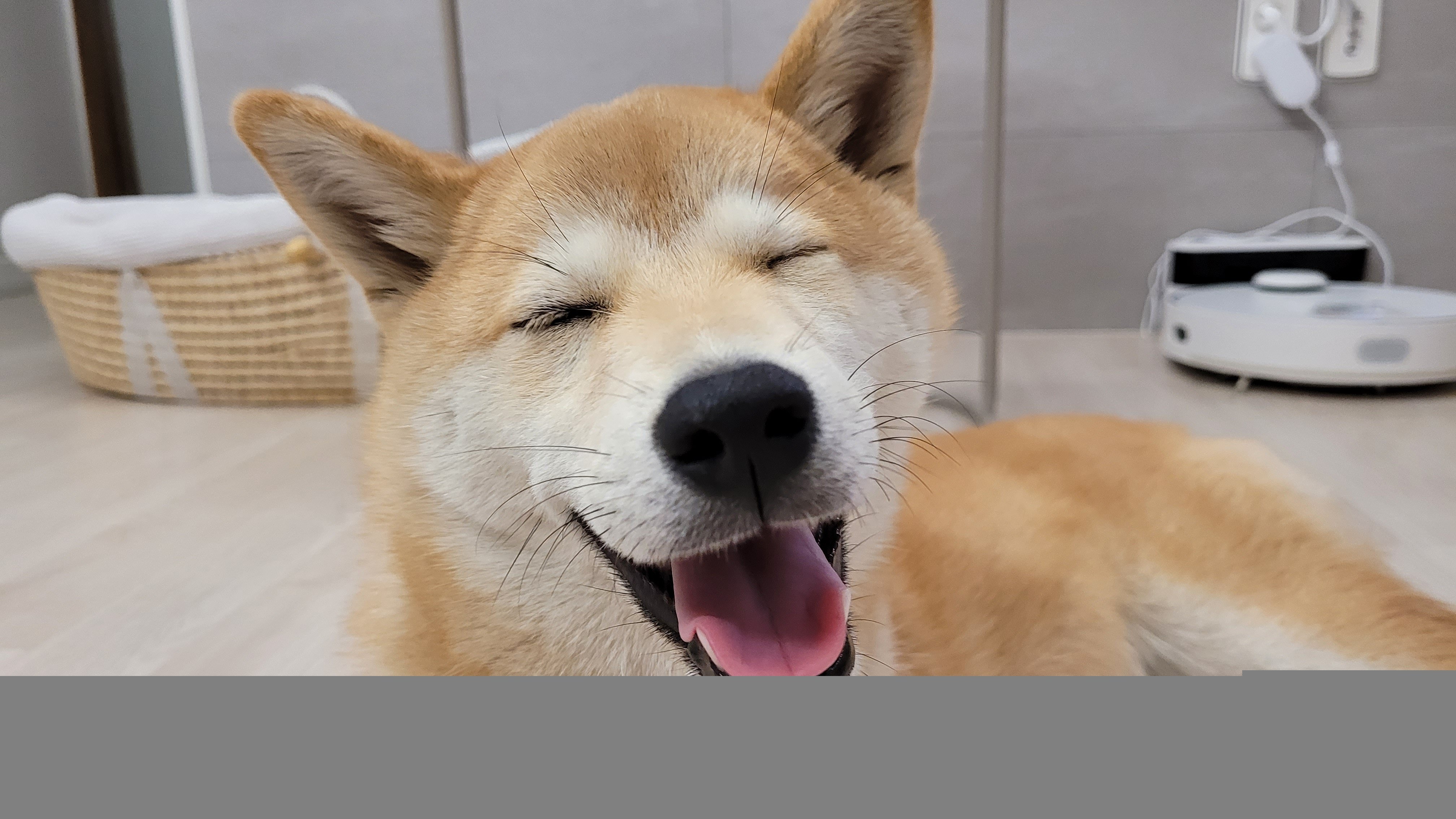 User's profile picture