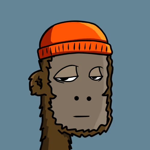 User's profile picture