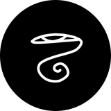 User's profile picture