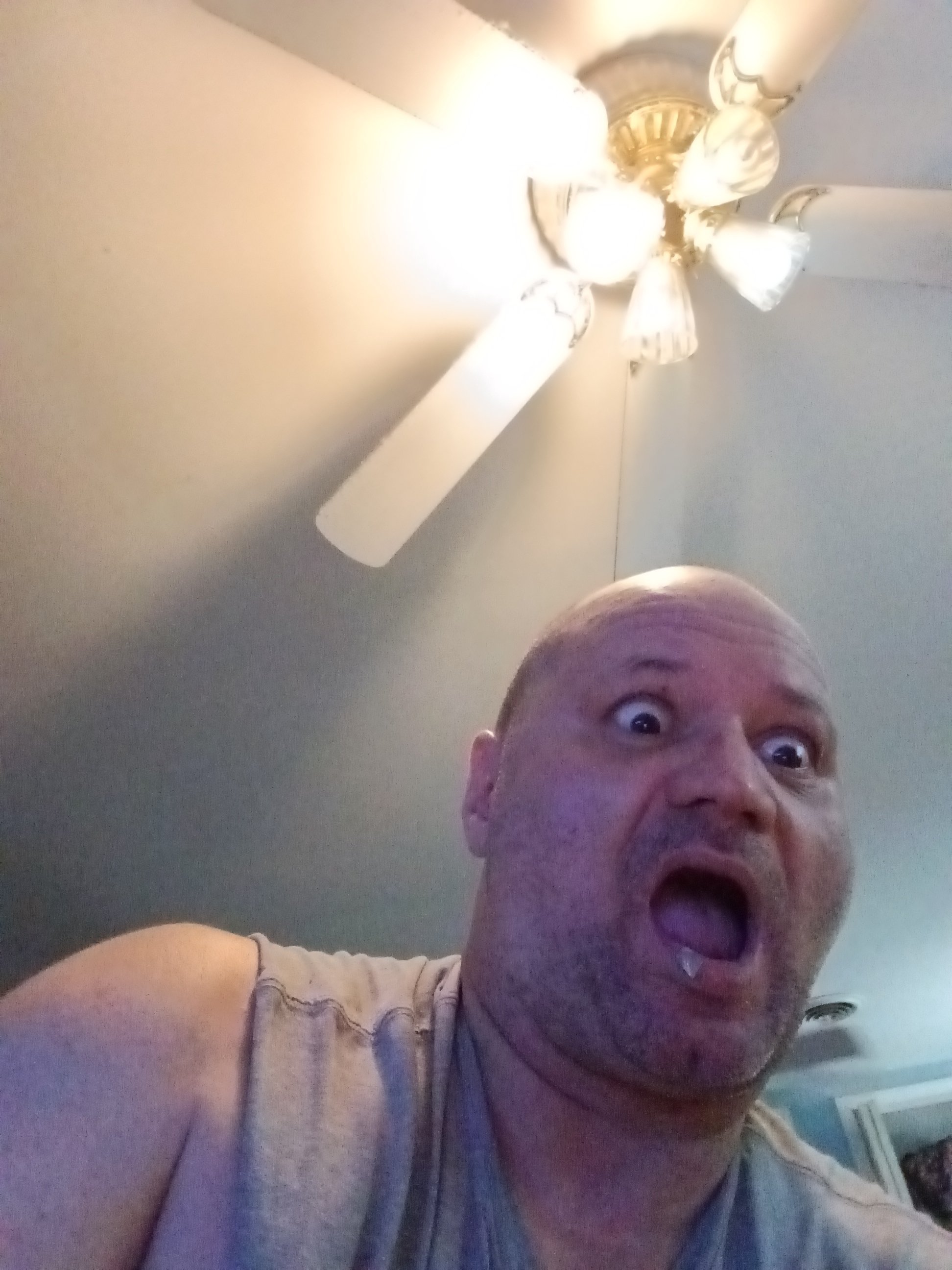 User's profile picture